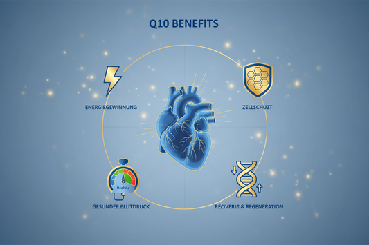 Coenzym Q10 200mg: Zellenergie für Herz, Regeneration und Vitalität