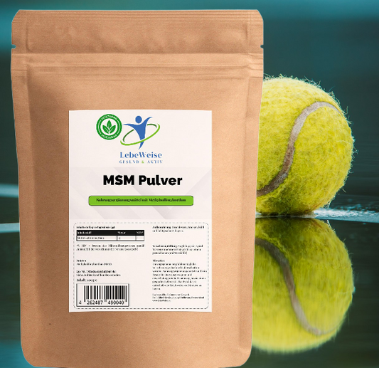 MSM Pulver -  500g