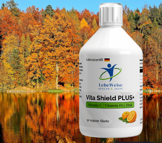 Vita Shield PLUS+ Shots - Fresh Orange  - 500ml