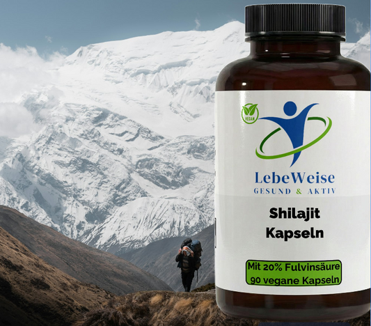 Shilajit (20% Fulvinsäure) – 90 vegane Kapseln