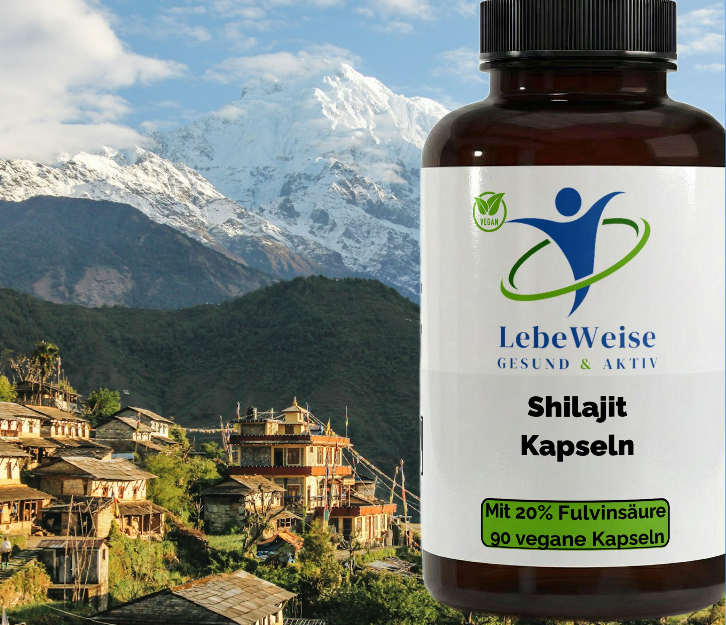 Shilajit (20% Fulvinsäure) – 90 vegane Kapseln